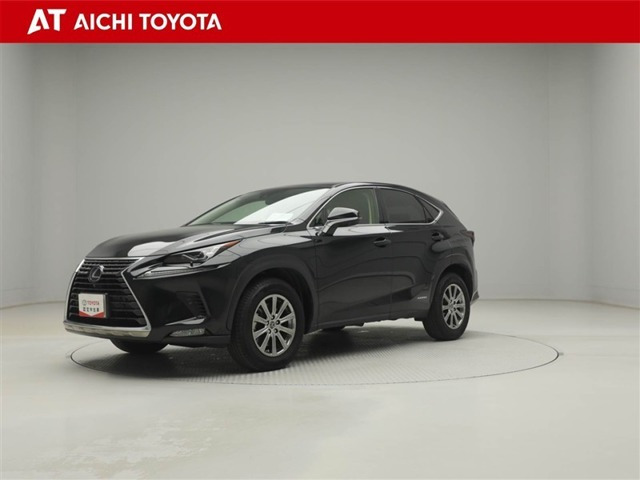 NX 300h Iパッケージ