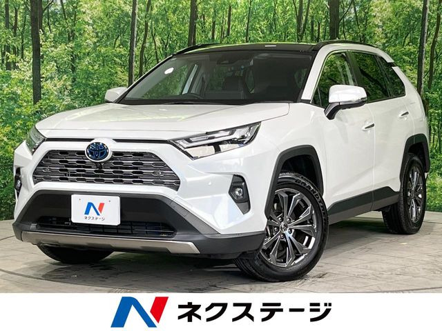 RAV4 2.5 ハイブリッド G E-Four 4WD （6AA-AXAH54）