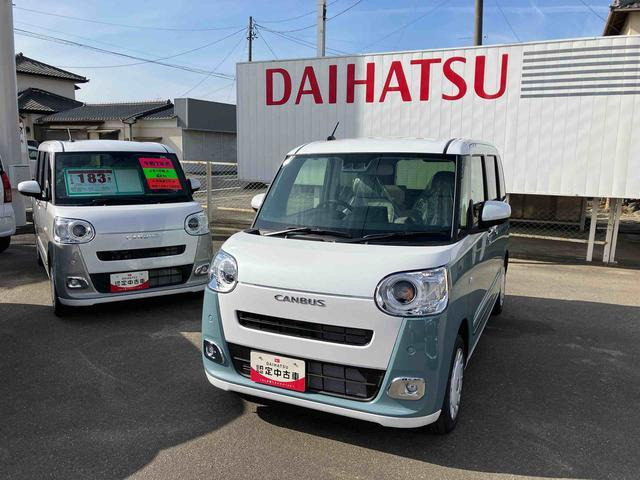 ムーヴキャンバス  ストライプス G