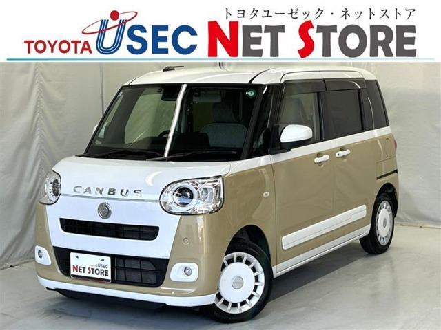 ムーヴキャンバス  ストライプス G