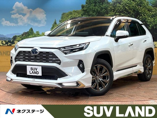 RAV4 2.5 ハイブリッド G E-Four 4WD （6AA-AXAH54）