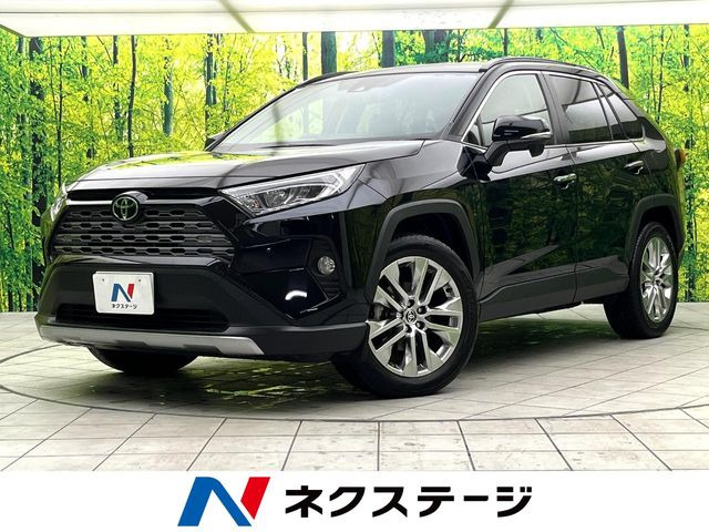 RAV4 2.0 G Zパッケージ 4WD （6BA-MXAA54）
