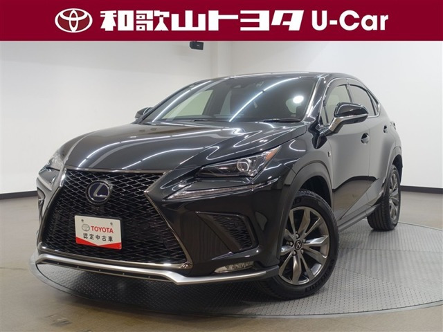 NX 300h Fスポーツ 