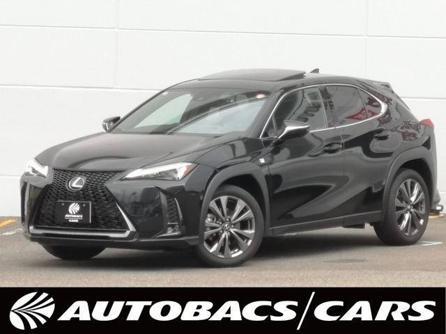 UX 250h Fスポーツ 