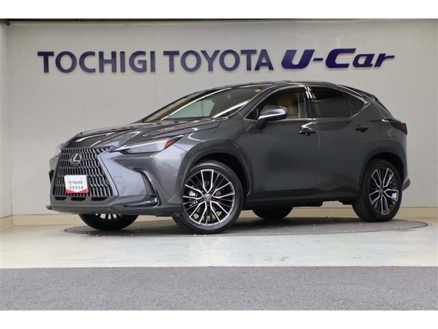 NX 350h バージョンL 