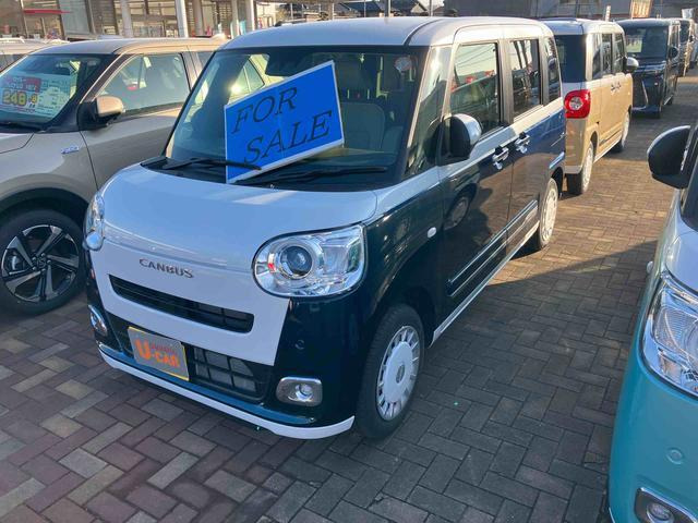 ムーヴキャンバス  ストライプス G