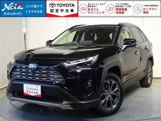 RAV4 2.5 ハイブリッド G E-Four 4WD （6AA-AXAH54）