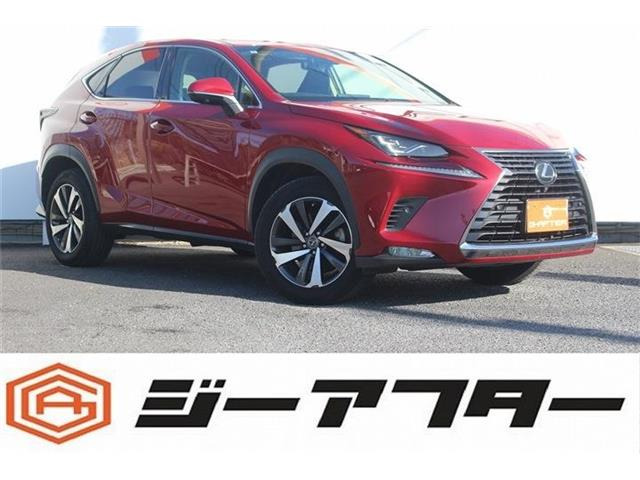 NX300 バージョンL後期型 サンルーフ 三眼LEDヘッドライト