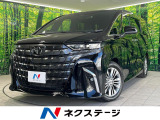 サイドステップ 後席モニター 純正14型ナビ ガラスルーフ 全周囲カメラ