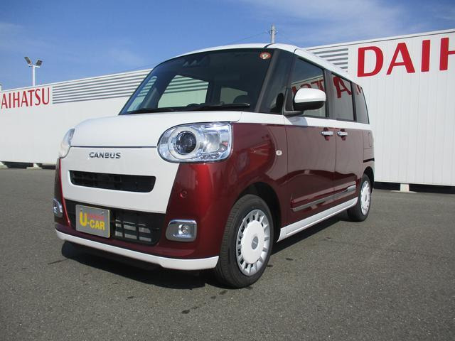 ムーヴキャンバス  ストライプス G