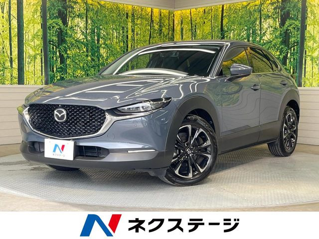 CX-301.8 XD Lパッケージ