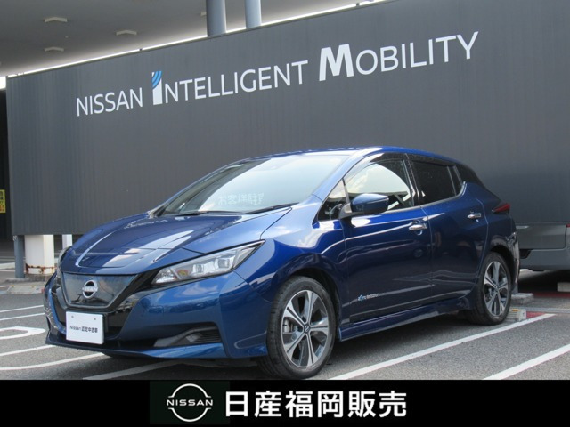 リーフ  X Vセレクション