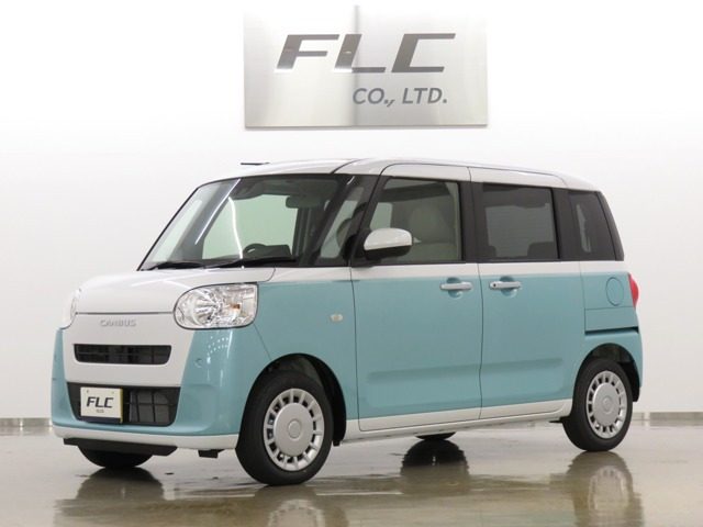 ムーヴキャンバス  ストライプス X