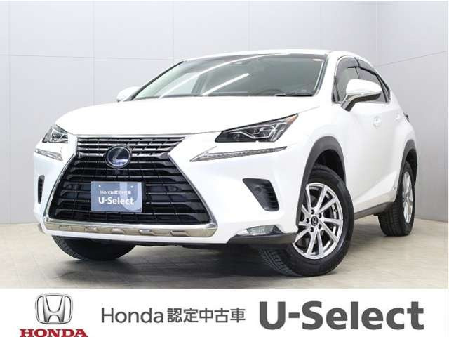 NX 300h Iパッケージ 