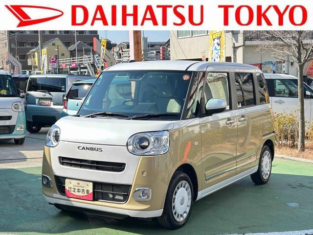 ムーヴキャンバス  ストライプス G