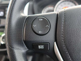 ステアリングスイッチ付き。前方から目を離すことなく操作することが可能です。