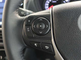ステアリングスイッチ付き。前方から目を離すことなく操作することが可能です。