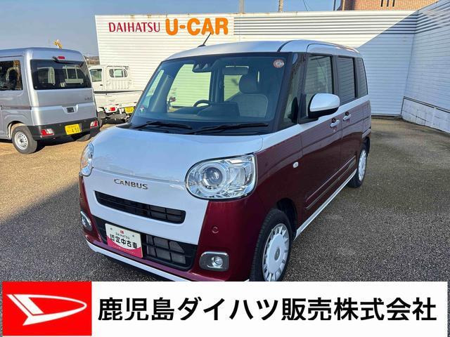 ムーヴキャンバス  ストライプス G