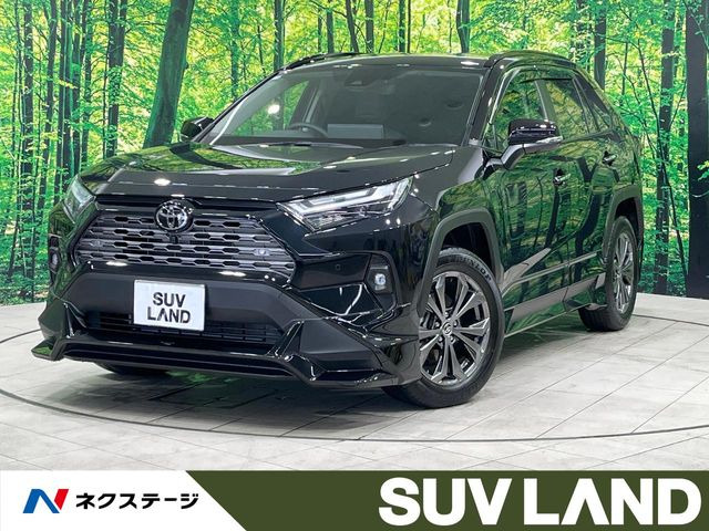 RAV4 2.5 ハイブリッド G E-Four 4WD （6AA-AXAH54）