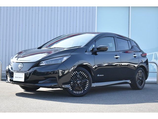 リーフ  X Vセレクション