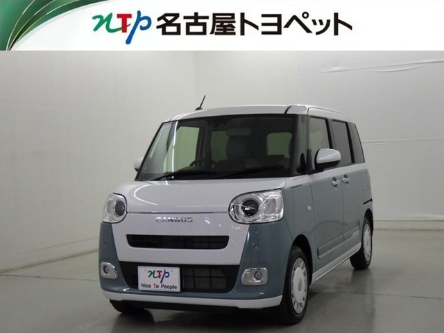 ムーヴキャンバス  ストライプス G