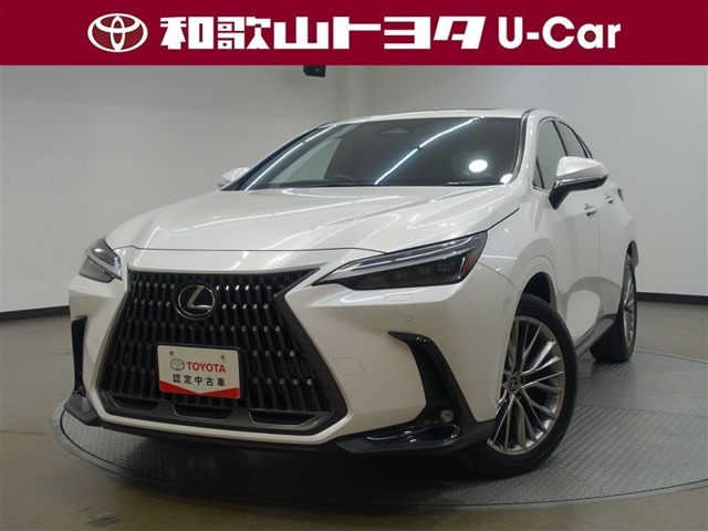 NX 350h バージョンL （6AA-AAZH20）