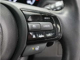 ◆アダプティブクルーズコントロール◆予め設定した車速内でクルマが自動的に加減速。前走車との適切な車間距離を維持しながら追従走行します。【LKAS】車線維持支援システムでステアリング操作を支援。