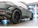 Rims Pelope 23 Shiny Black with Titanium wheel bolts