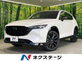 純正10型ナビ 衝突軽減 全周囲カメラ レーダークルーズ 電動リアゲート