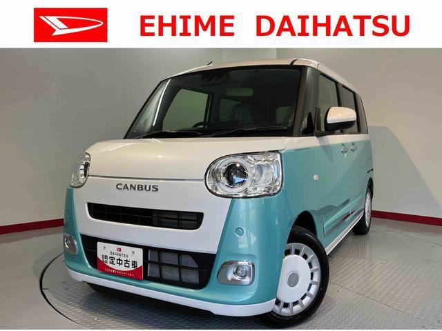 ムーヴキャンバス  ストライプス G