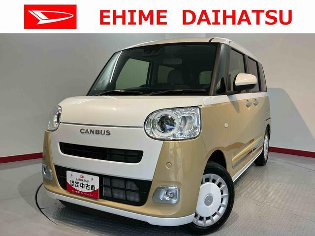 ムーヴキャンバス  ストライプス G