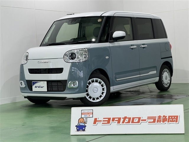 ムーヴキャンバス  ストライプス G