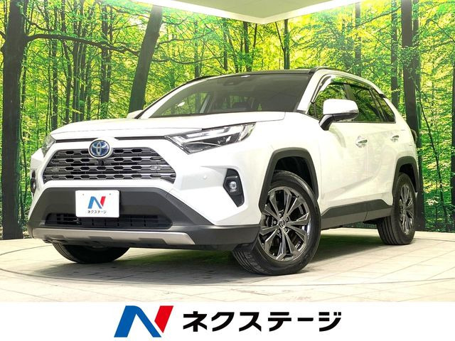 RAV4 2.5 ハイブリッド G E-Four 4WD （6AA-AXAH54）