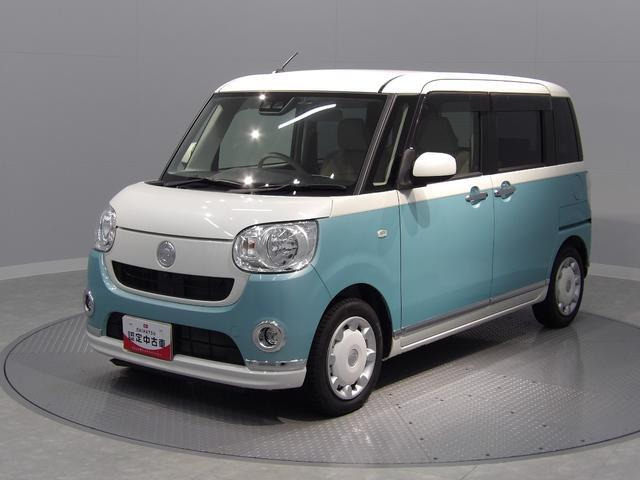 ムーヴキャンバス X リミテッド メイクアップ SAIII 