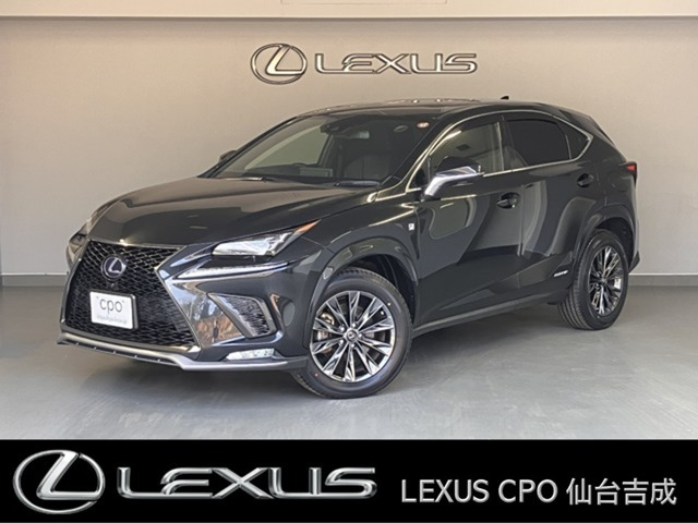 NX300h クール&ブライト 4WD