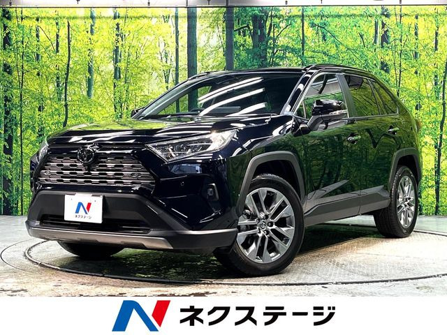 RAV4 2.0 G Zパッケージ 4WD （6BA-MXAA54）
