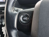 ステアリングスイッチ付き。前方から目を離すことなく操作することが可能です。