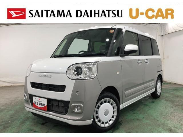 ムーヴキャンバス  ストライプス G