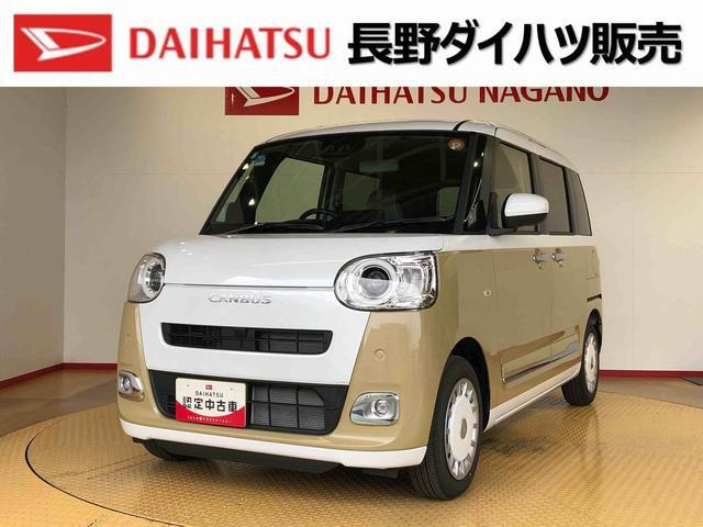 ムーヴキャンバス  ストライプス G