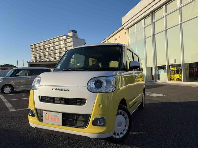 ムーヴキャンバス  ストライプス G