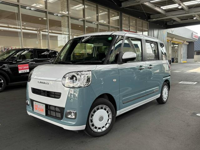 ムーヴキャンバス  ストライプス G