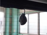 この車にはリアにもドライブレコーダーを装備しております◆映像・音声などを記録する自動車用の装置です。 もしもの事故の際の記録はもちろん、旅行の際の思い出としてドライブの映像を楽しむことができます。
