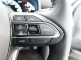 お車の販売やサービスで「安心安全で快適な移動」を提供する事はもちろんのこと、&ldquo;環境保全活動&rdquo;や、&ldquo;スポーツ振興&rdquo;など様々な場に参加させていただくことで、思いが現実になる事を信じて活動を続けています。