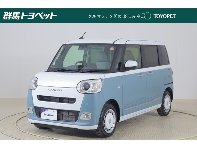 ムーヴキャンバス  ストライプス G