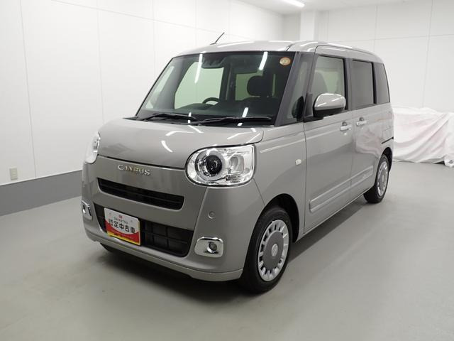 ムーヴキャンバス  セオリー G