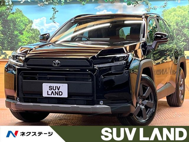 RAV4 アドベンチャー（6AA-AXAN64）
