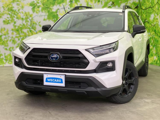 RAV4 2.5 ハイブリッド アドベンチャー オフロードパッケージ II E-Four 4WD 