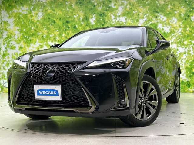 UX 250h Fスポーツ 