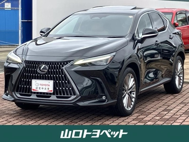 NX 250 バージョンL NX 250 バージョンL