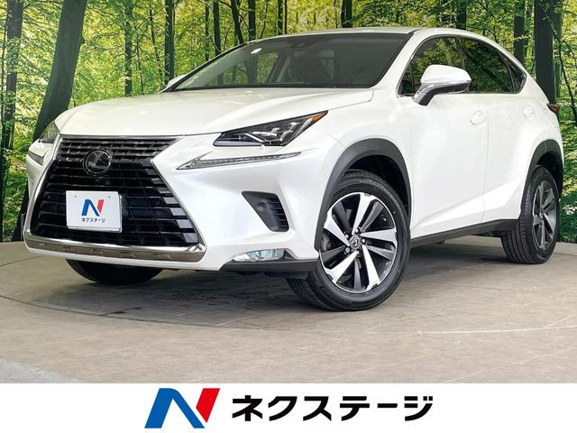 NX200t Iパッケージ